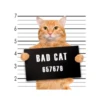 7
6.
5
3
2
BAD CAT
657679