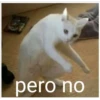 LLORARIOS 24