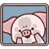 Fly Pig-pei pei 4 23