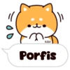 Shiba dogs 24