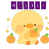 NICOLE