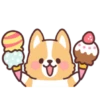 Corgi summer 27
