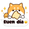 Shiba dogs 25