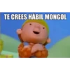 TE CREES HÁBIL MONGOL