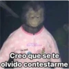 Culi-Porree
The not
Creo que se te
olvido contestarme