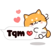 Shiba dogs 27