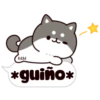Shiba dogs 28