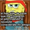 BOB CHOLO 24