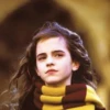 Harry Potter Stickers Part :1 26