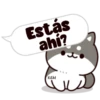 Shiba dogs 29