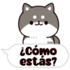 Shiba dogs 30