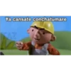 Ya cansate conchatumare
TAZ