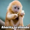 Ahorita te atiendo