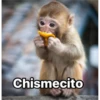 Chismecito