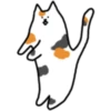 Fluffy kitty cat 29