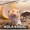 Hamsters 21
