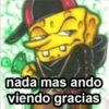 BOB CHOLO 27