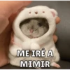 Hamsters 23