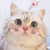 2 GaTiToS ♡ MeOw 5