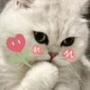 3 GaTiToS ♡ MeOw 5