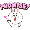Brown and Cony 1 5