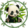Pandita Cute ✺1🇻🇪 8