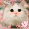 2 GaTiToS ♡ MeOw 8
