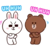 Brown and Cony 1 6
