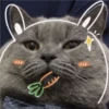 3 GaTiToS ♡ MeOw 6