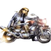 Bikers Girls 6
