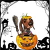 Perritos Halloween ✺1🇻🇪 8