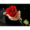 Best Flowers 9
