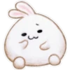 Rabbit pupi 6