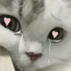 2 GaTiToS ♡ MeOw 9
