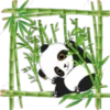Pandita Cute ✺1🇻🇪 10