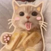 3 GaTiToS ♡ MeOw 10