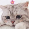 2 GaTiToS ♡ MeOw 10