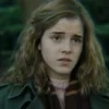 Hermione Granger 9