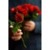 Best Flowers 13