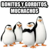 Los pingüinos de Madagascar (sticker.fan) 7