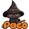 Gatito niños BOO 👻 12