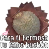 Amor y amistad 9