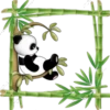 Pandita Cute ✺1🇻🇪 12