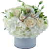 Flores 3 6