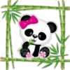 Pandita Cute ✺1🇻🇪 13