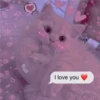 2 GaTiToS ♡ MeOw 11