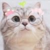 2 GaTiToS ♡ MeOw 12