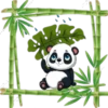 Pandita Cute ✺1🇻🇪 15