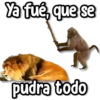 ⚠ Memes que te faltan #3 5