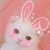 2 GaTiToS ♡ MeOw 13